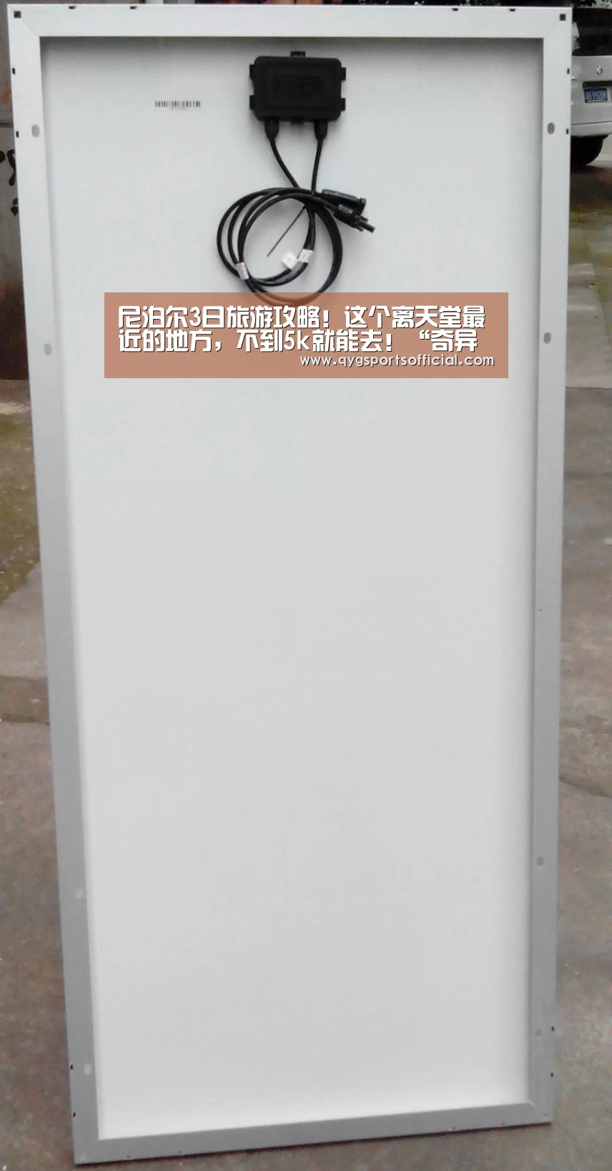 奇异果体育官网入口