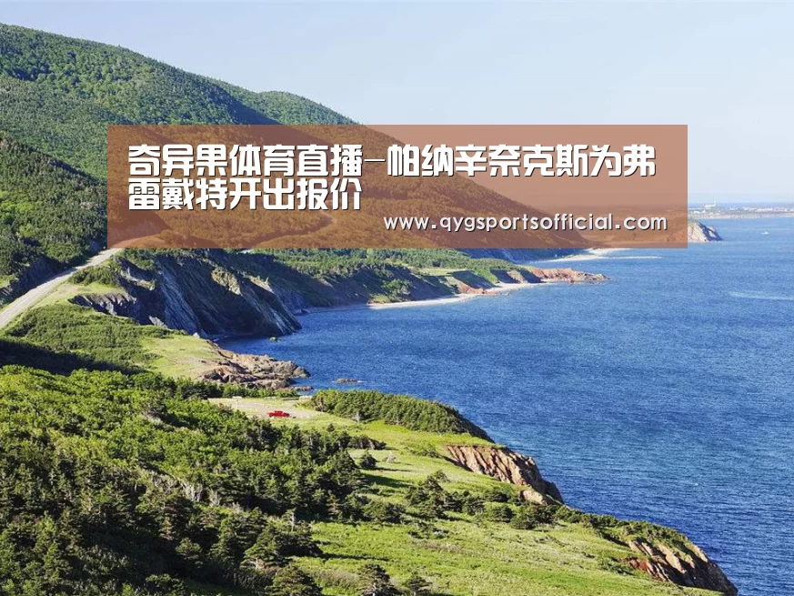 奇异果体育官网入口