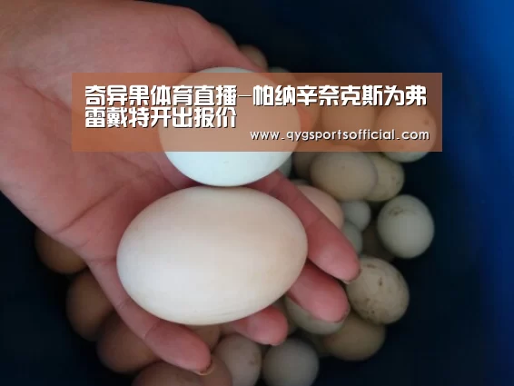 奇异果体育直播