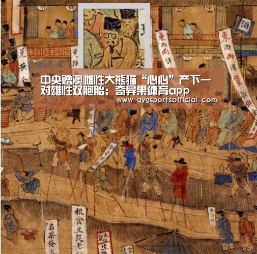 奇异果体育app