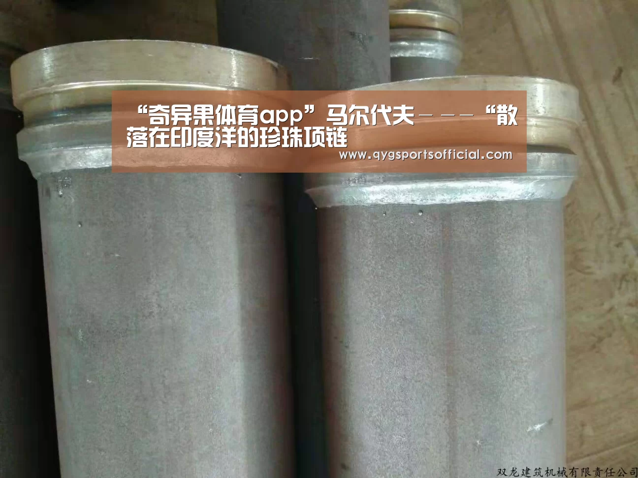 奇异果体育直播