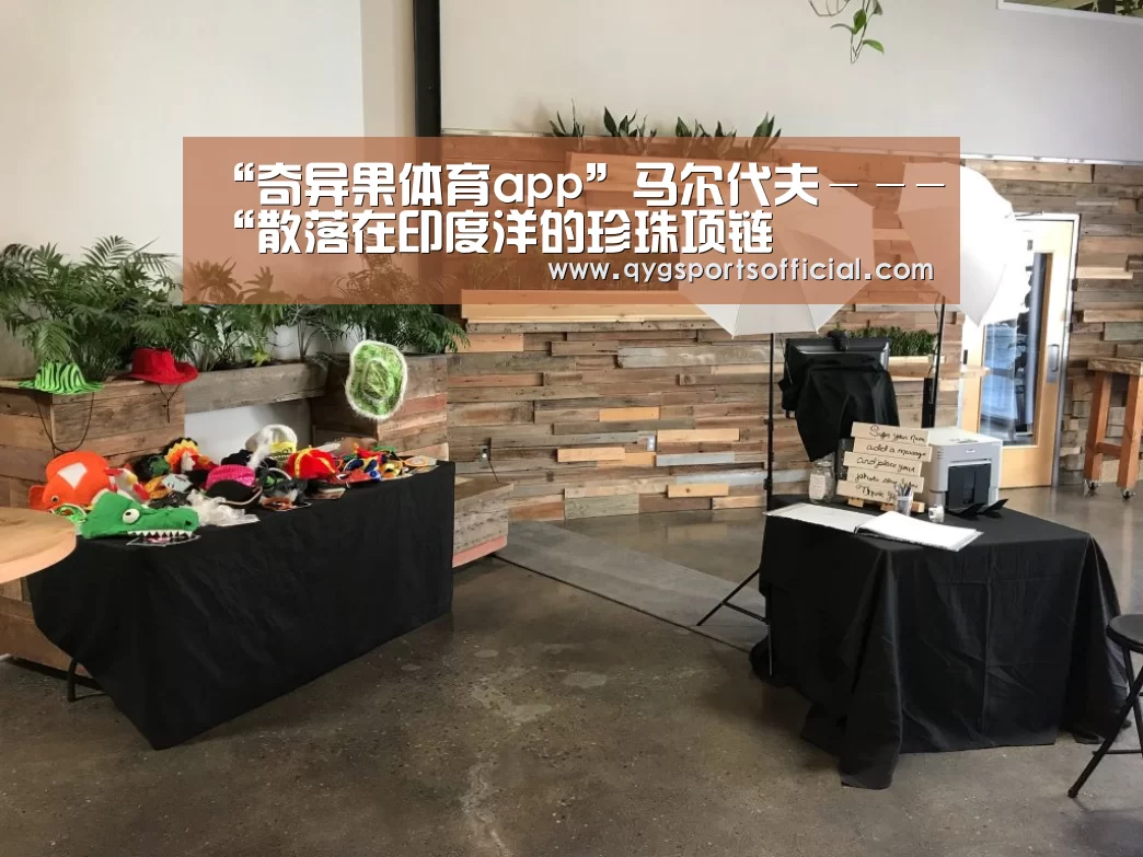 奇异果体育直播