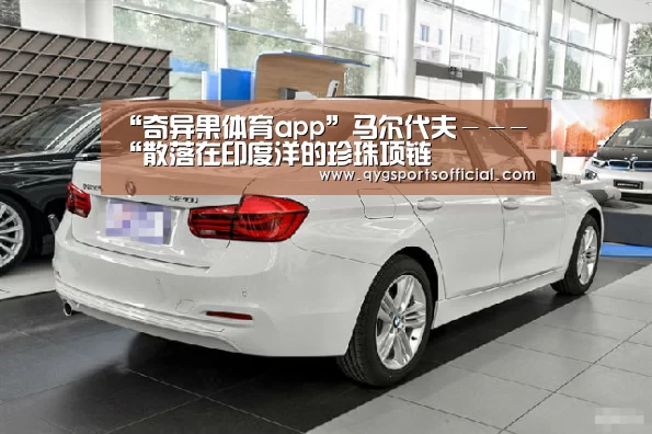 奇异果体育官网入口