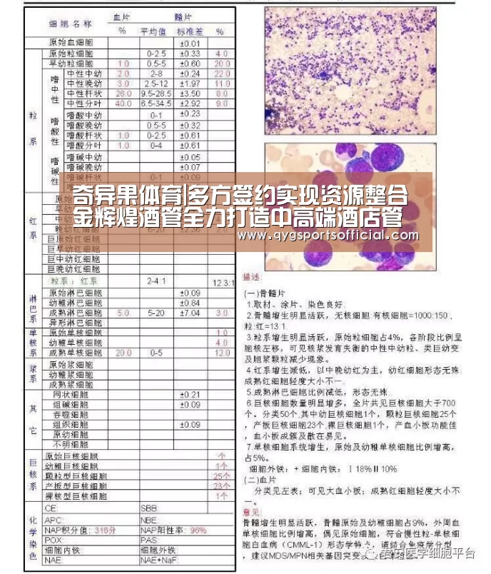 奇异果体育|多方签约实现资源整合 金辉煌酒管全力打造中高端酒店管理品牌