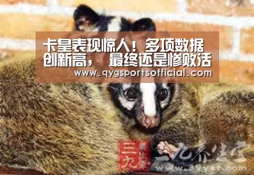 奇异果体育官网入口
